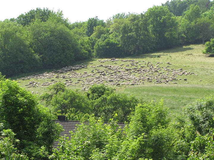 Wanderung 2013_025.jpg